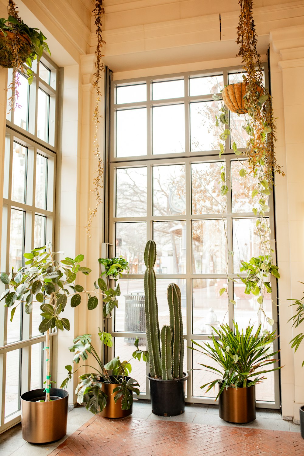 창틀에 앉아있는 식물의 무리