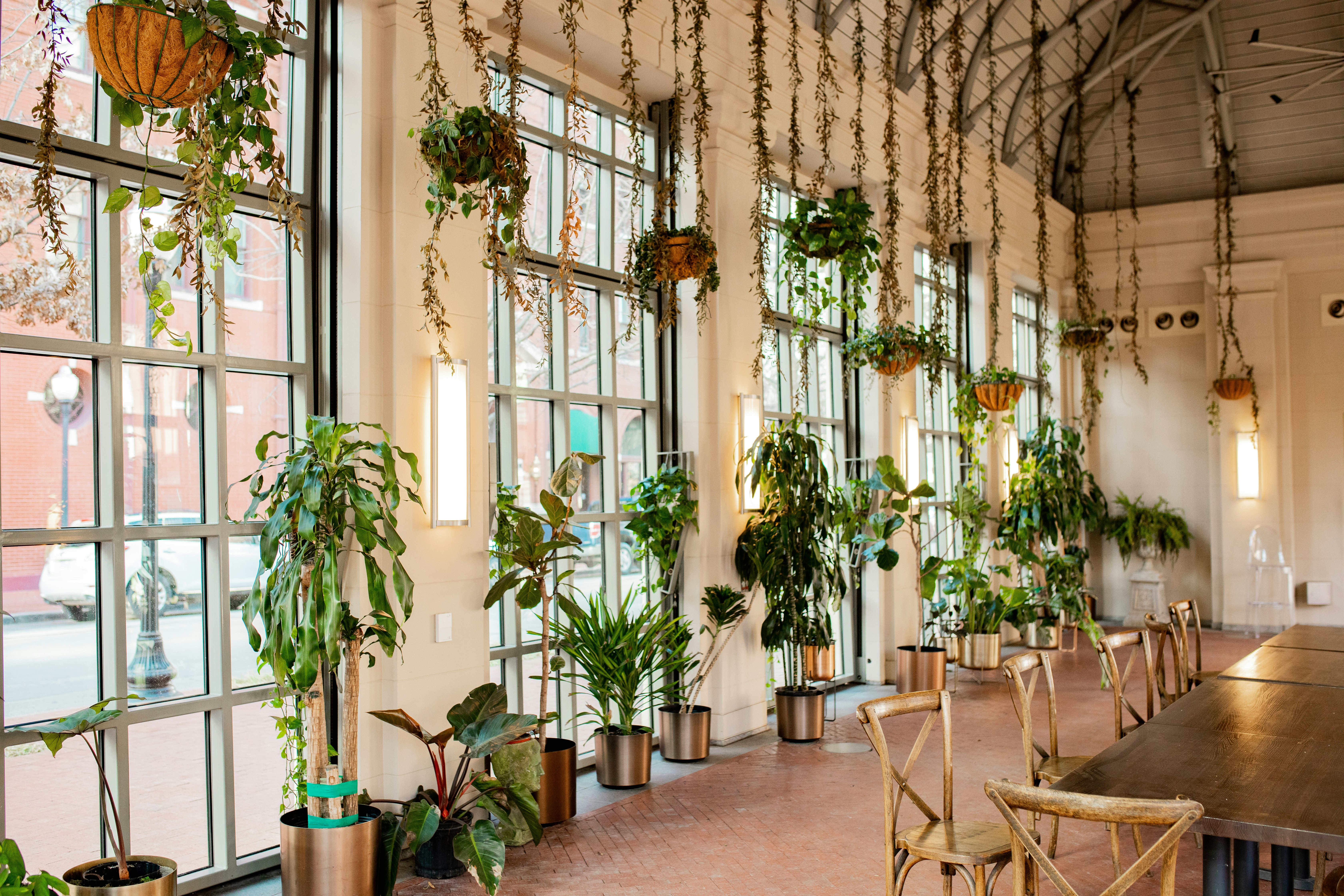 a dining room with a long table surrounded by potted plants