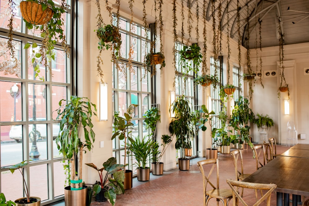 a dining room with a long table surrounded by potted plants