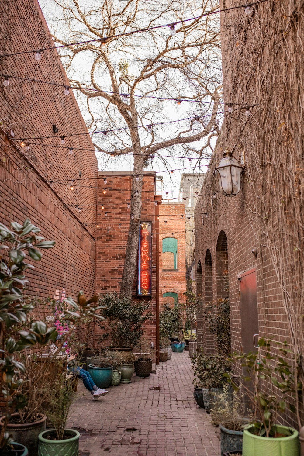 a narrow alley way with potted plants and trees