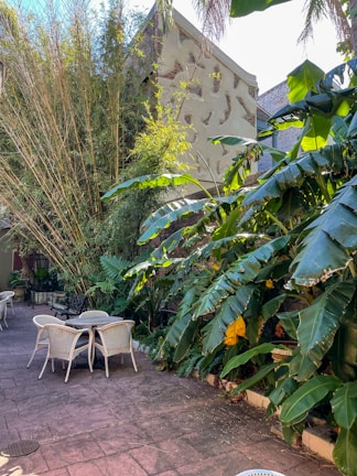 Cozy outdoor patio with seating and tropical plants.