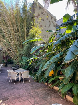 A cozy outdoor patio area surrounded by lush green vegetation, including large banana leaves and tall bamboo plants. There are several wicker chairs arranged around small tables on a stone-paved surface. The space is bordered by tall greenery on one side and a building with a rustic, patterned wall on the other.