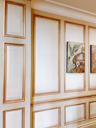 An interior wall featuring elaborate paneling with raised moldings, painted in white and golden hues. Two framed paintings of birdcages and birds are hung side by side on the wall. The style exudes a classic and sophisticated look.