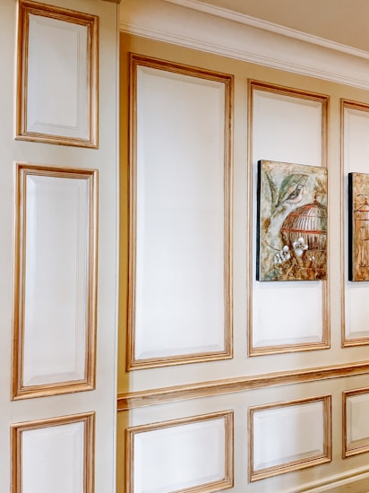 An interior wall featuring elaborate paneling with raised moldings, painted in white and golden hues. Two framed paintings of birdcages and birds are hung side by side on the wall. The style exudes a classic and sophisticated look.