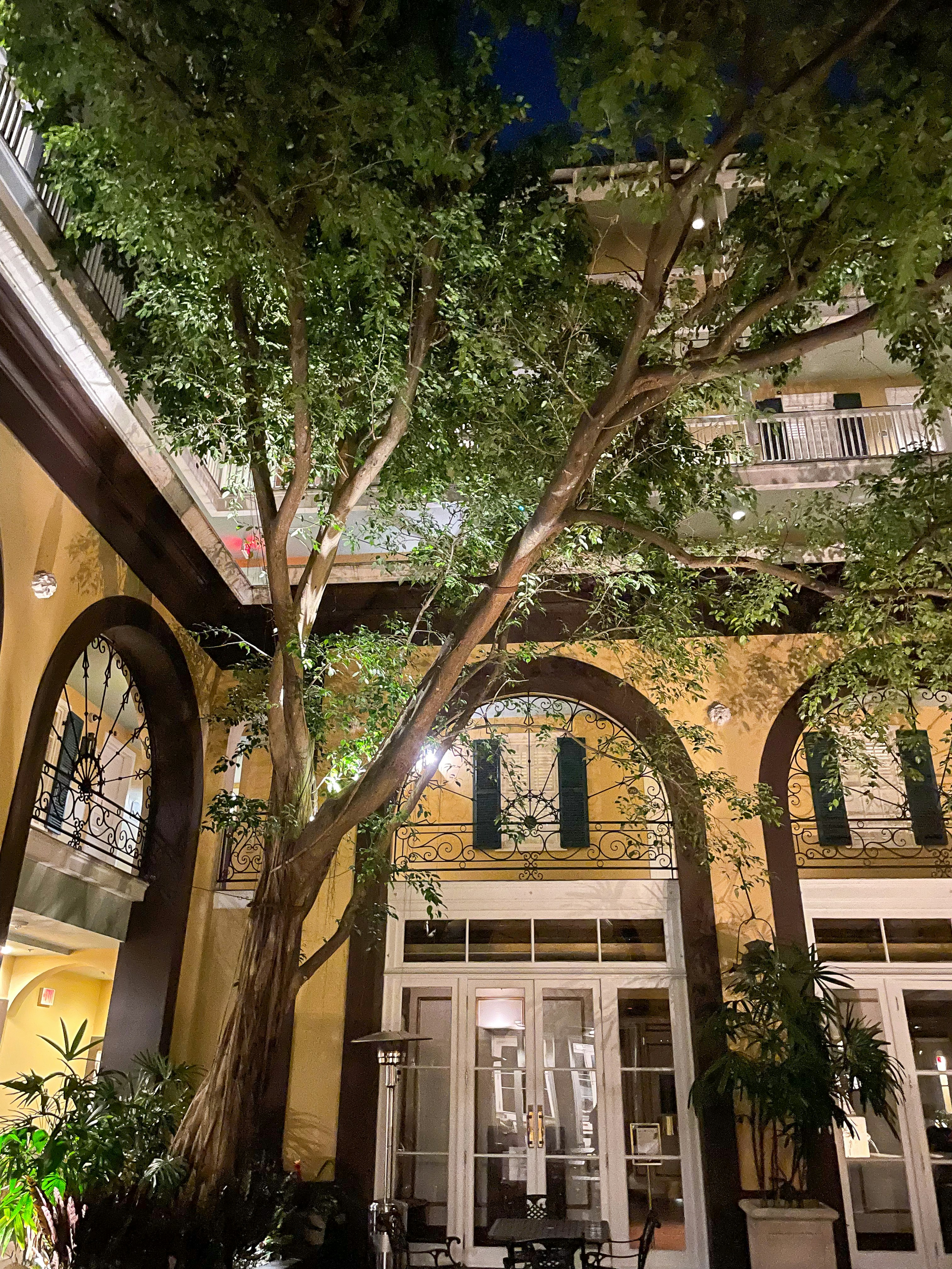 Photo by blairneedsanap