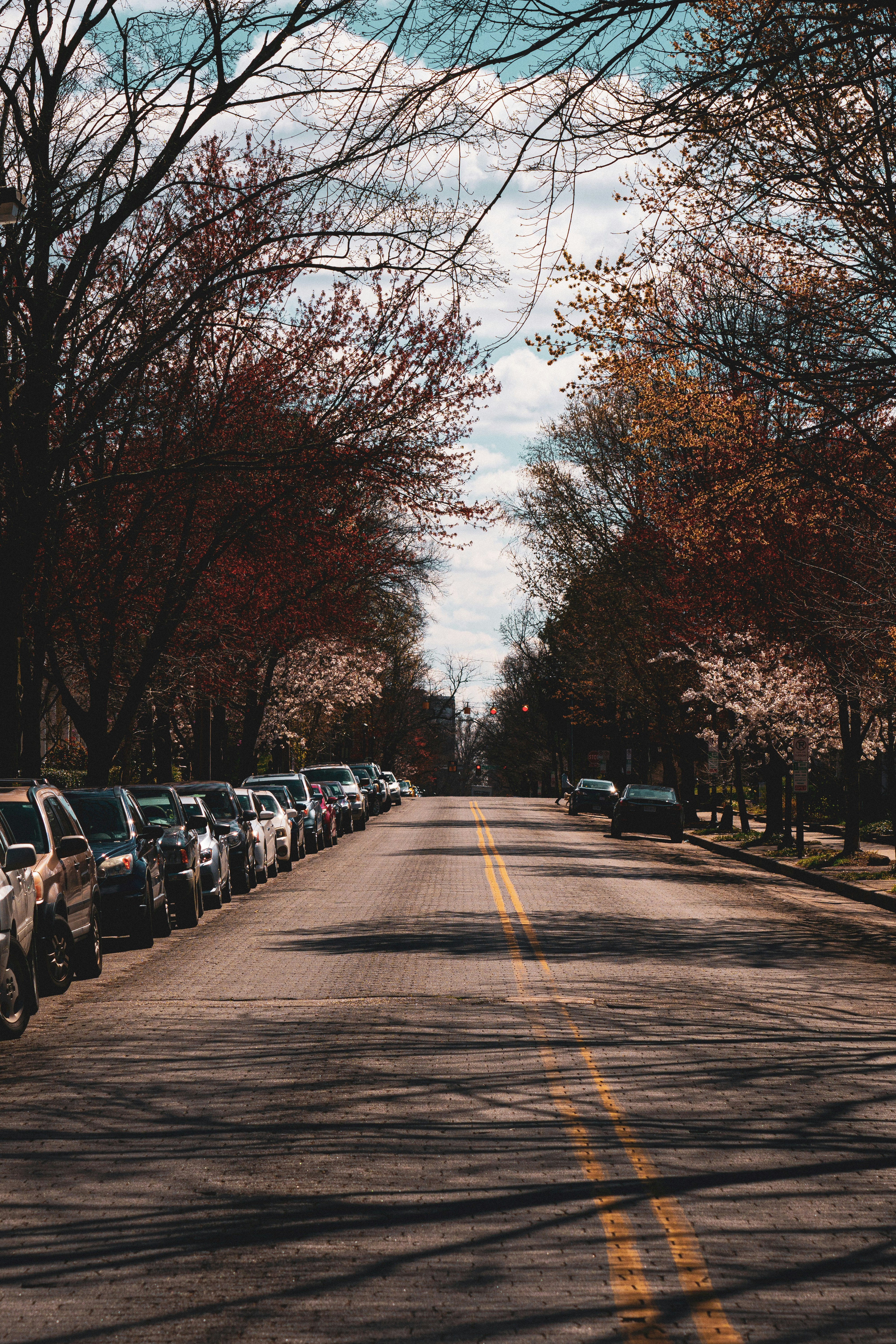 Photo by keepitchassephotography