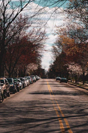 a street lined with parked cars and trees