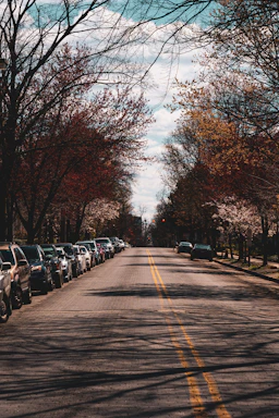 a street lined with parked cars and trees