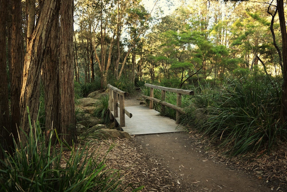 a wooden bridge in the middle of a forest