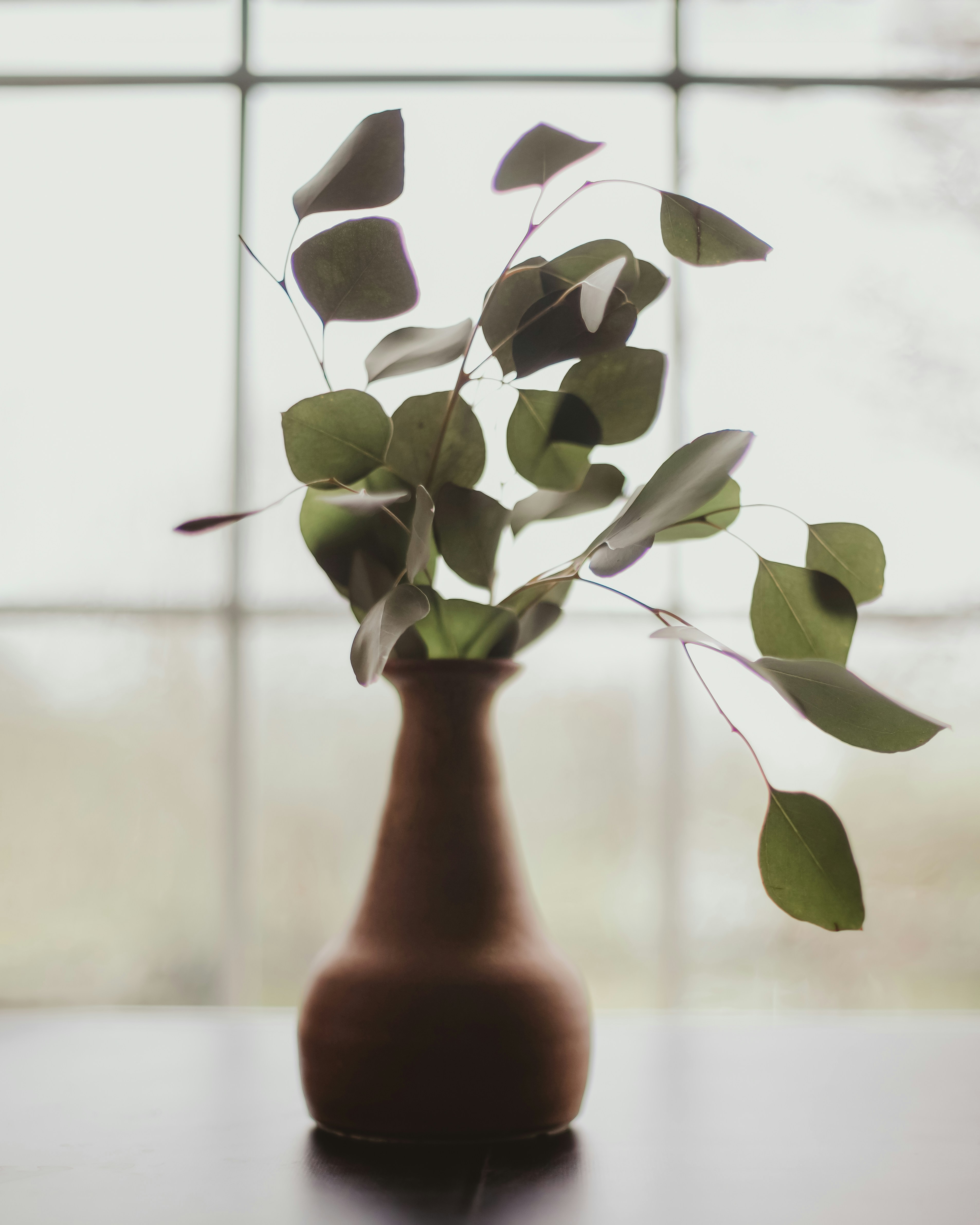 Photo by sixteenmilesout