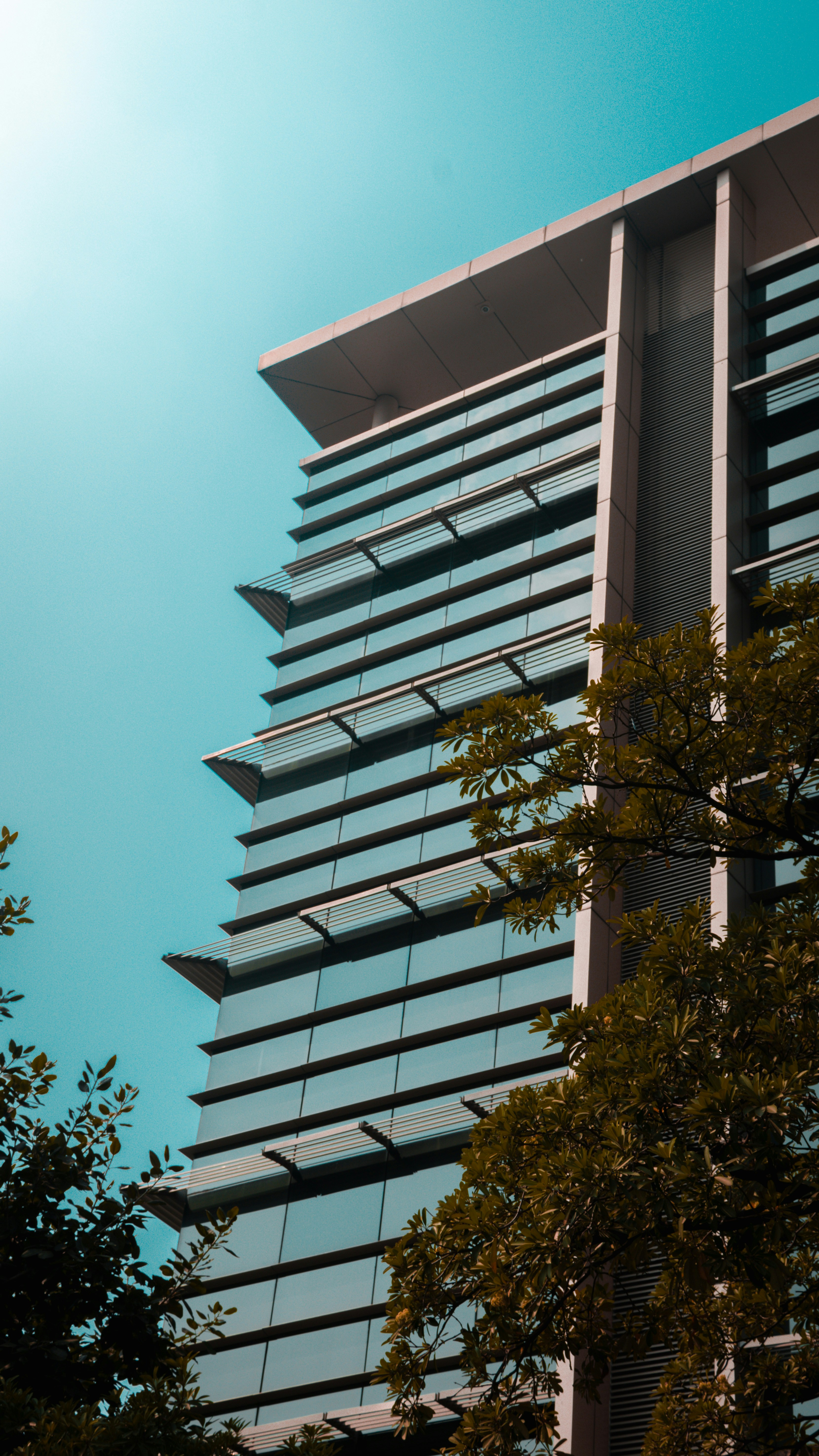 Photo by minimalsayan