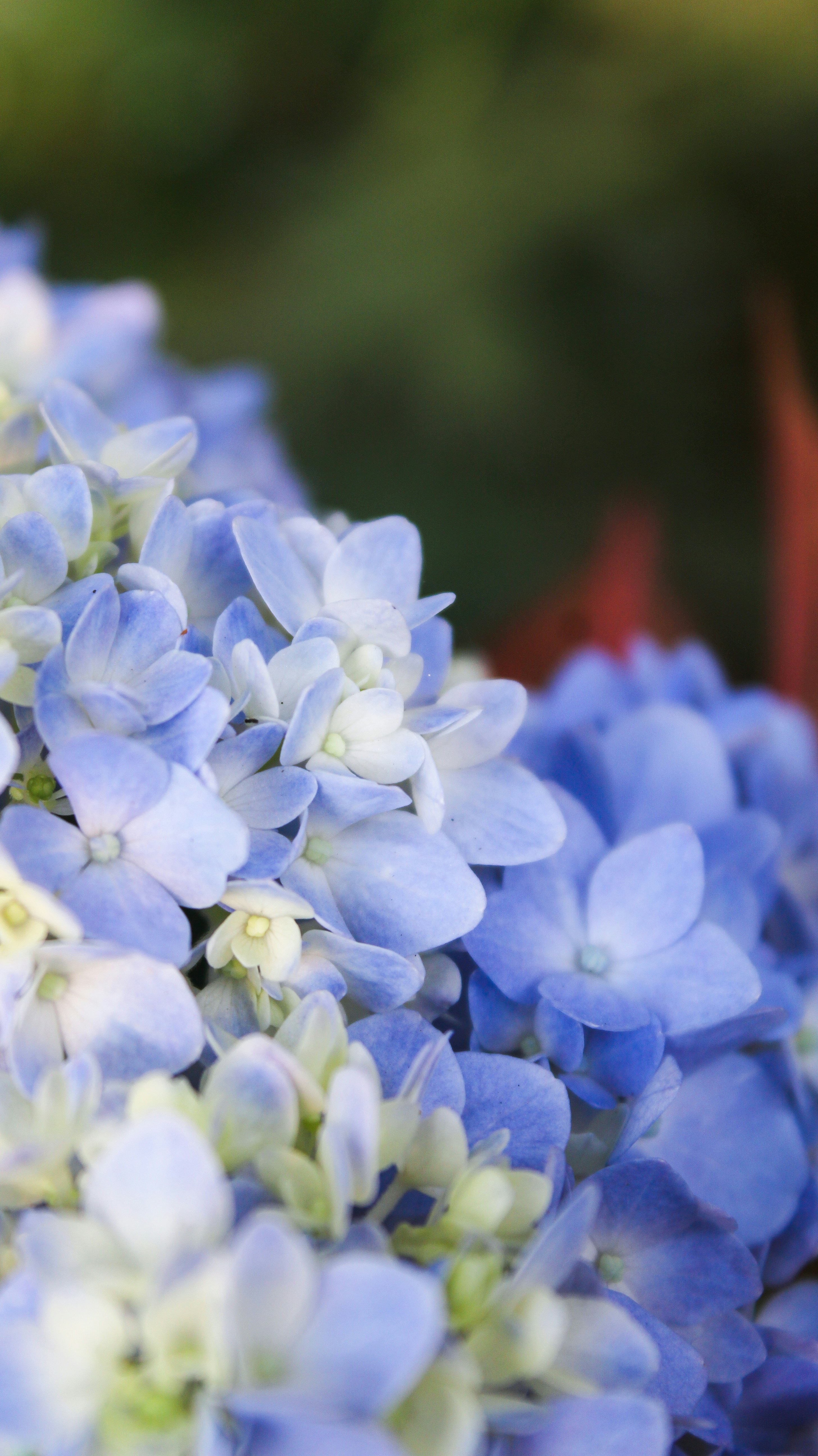 Photo by abikphotography