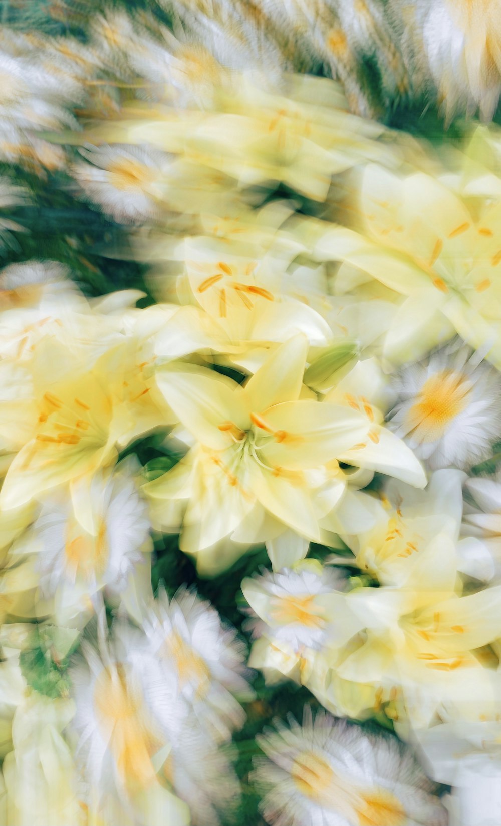 a bunch of yellow and white flowers in motion