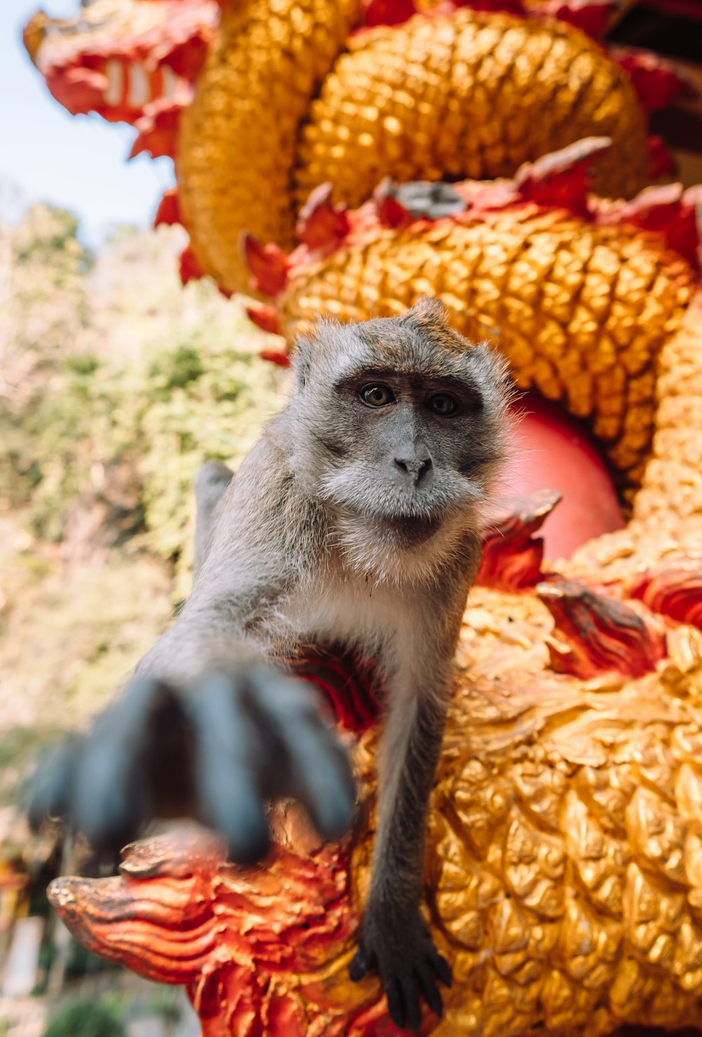 a monkey sitting on top of a golden statue