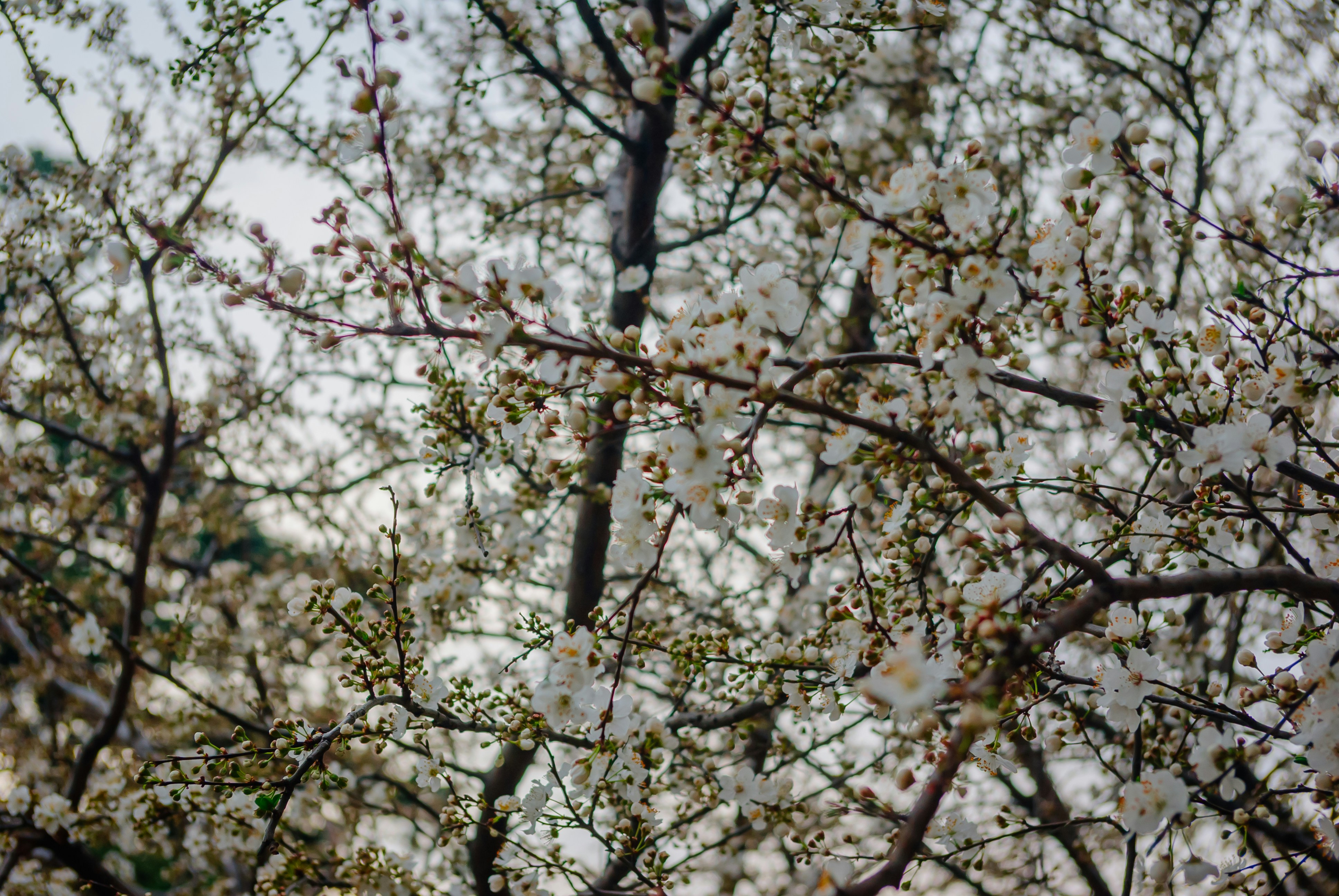 Photo by moonmoons_days