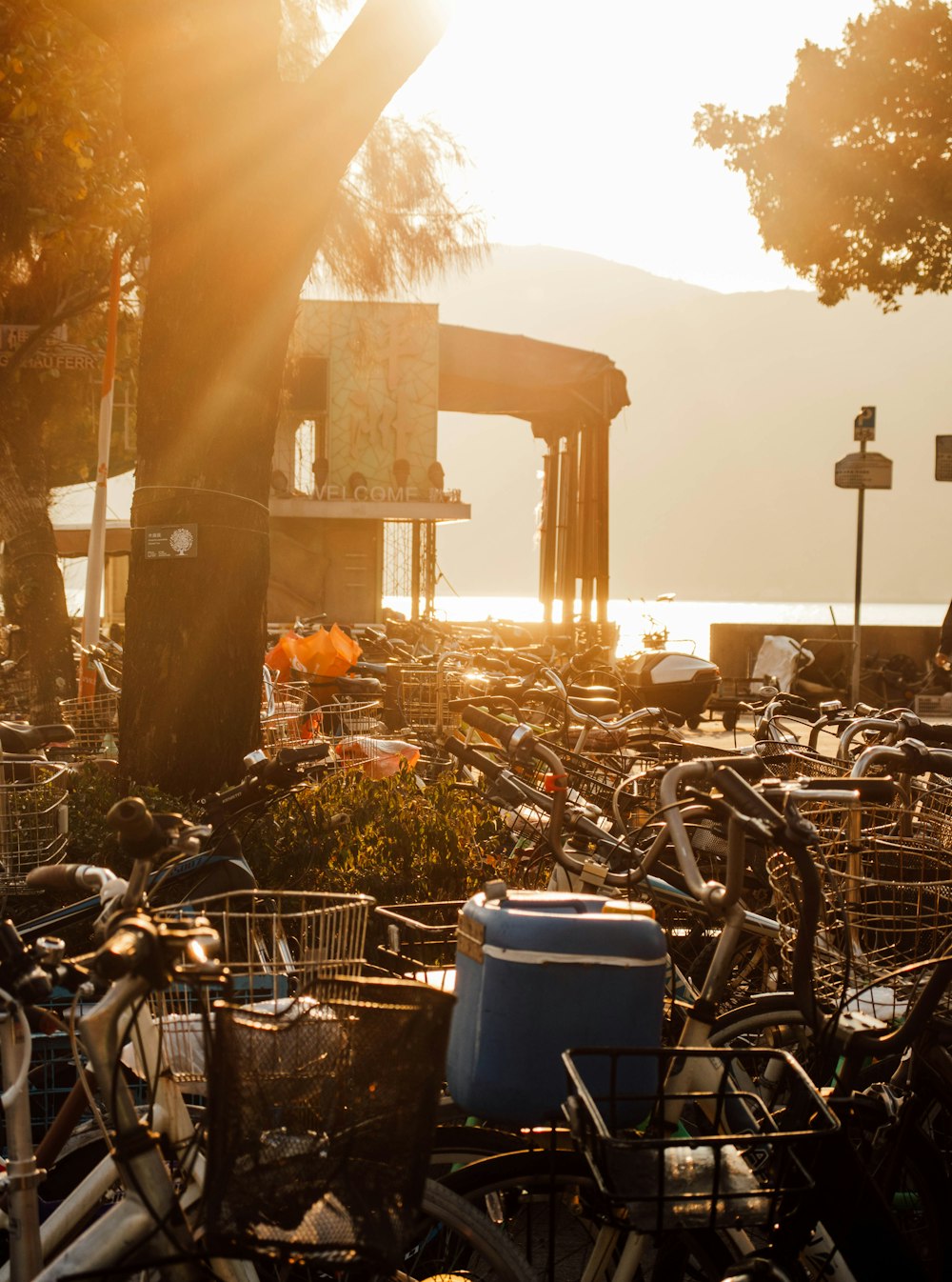 a bunch of bikes parked next to each other