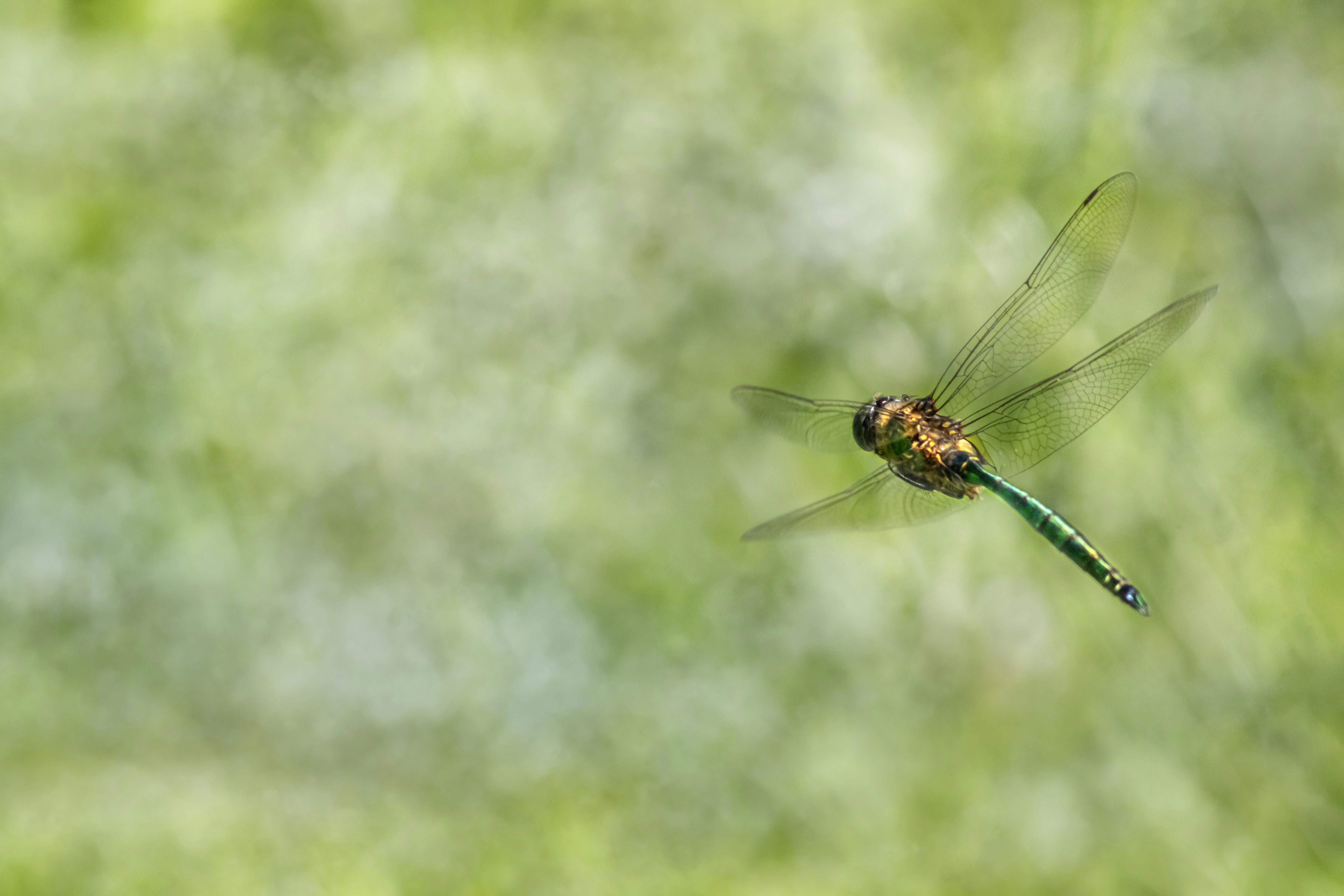 Photo by erik_karits