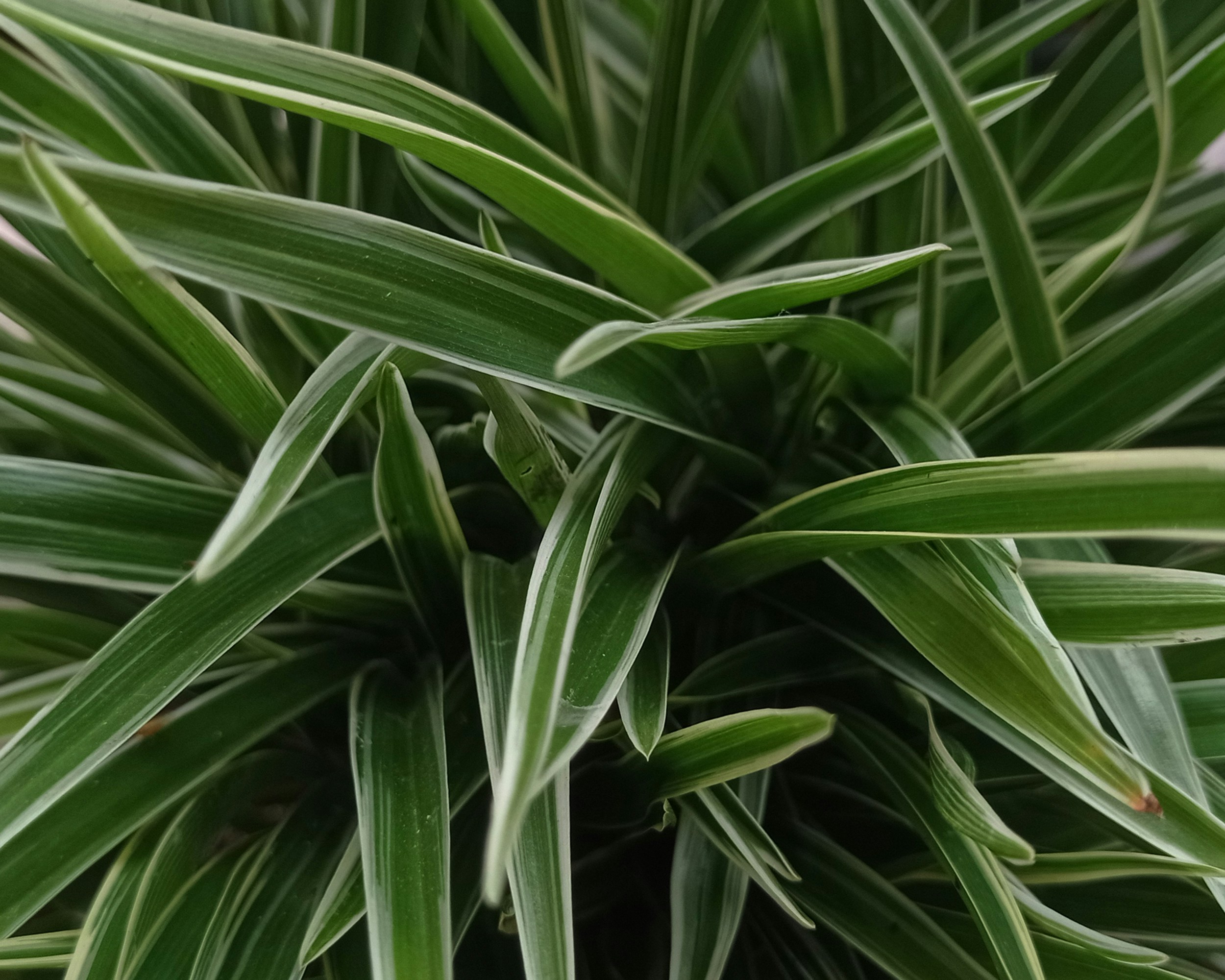 Photo by arkan_maker