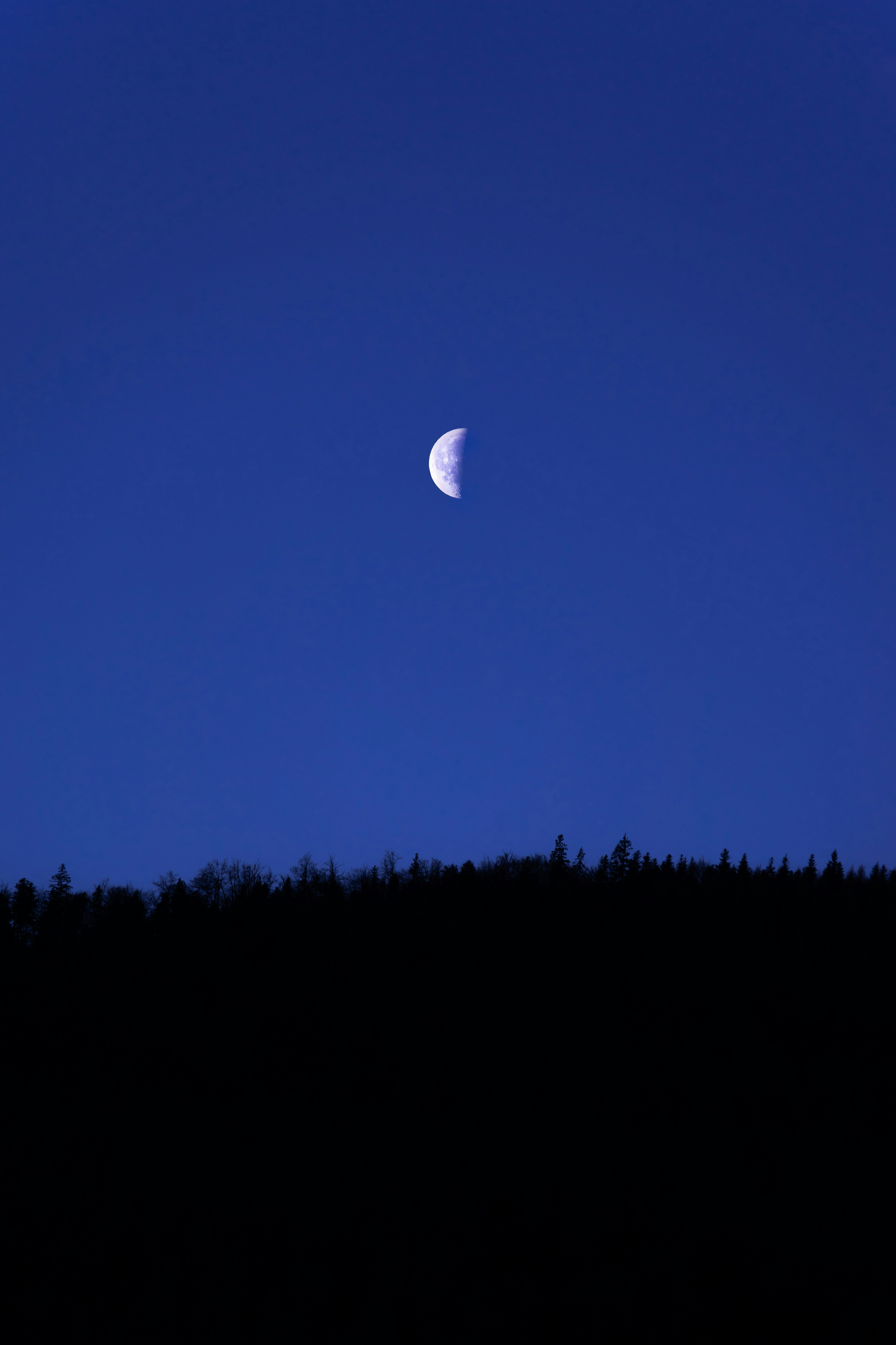 Photo by virussinside