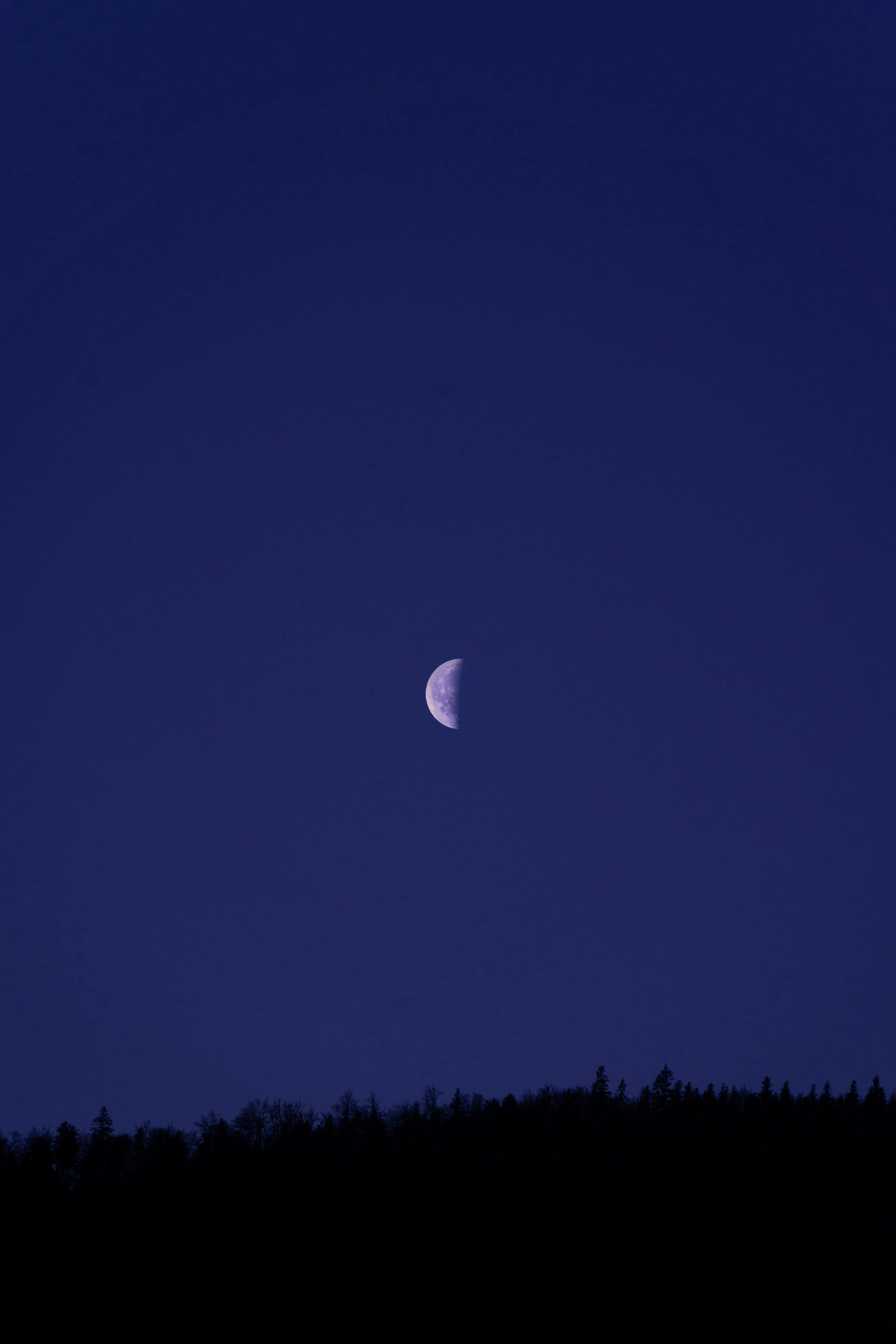 Photo by virussinside