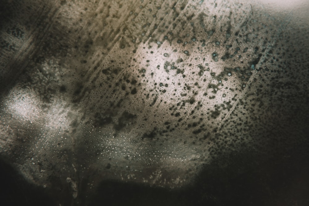 창문 유리에 빗방울