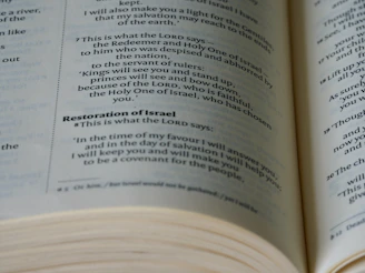 Close-up of the 'just who books' religious commentary book resting open on a wooden table with soft natural light.