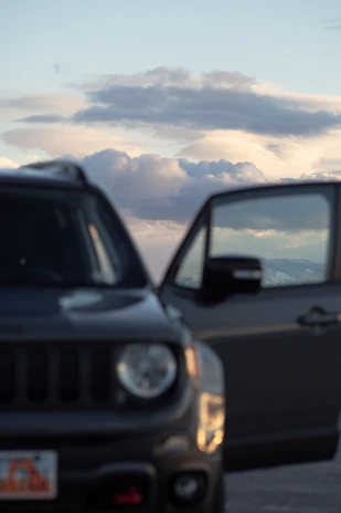 A chauffeur opening the door of a premium SUV with mountain views in the distance.