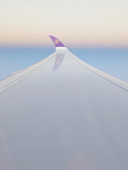 A view of an airplane wing against a gradient sky transitioning from soft blue to pale peach near the horizon. The wingtip features a purple logo. The scene captures a sense of tranquility and height.
