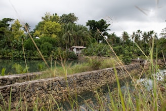 A lush, tropical landscape featuring dense green foliage, palm trees, and a tranquil body of water. A small house or cabin is partially hidden among the trees, with a stone wall running along the edge of the water. The sky is overcast, creating a peaceful and secluded atmosphere.