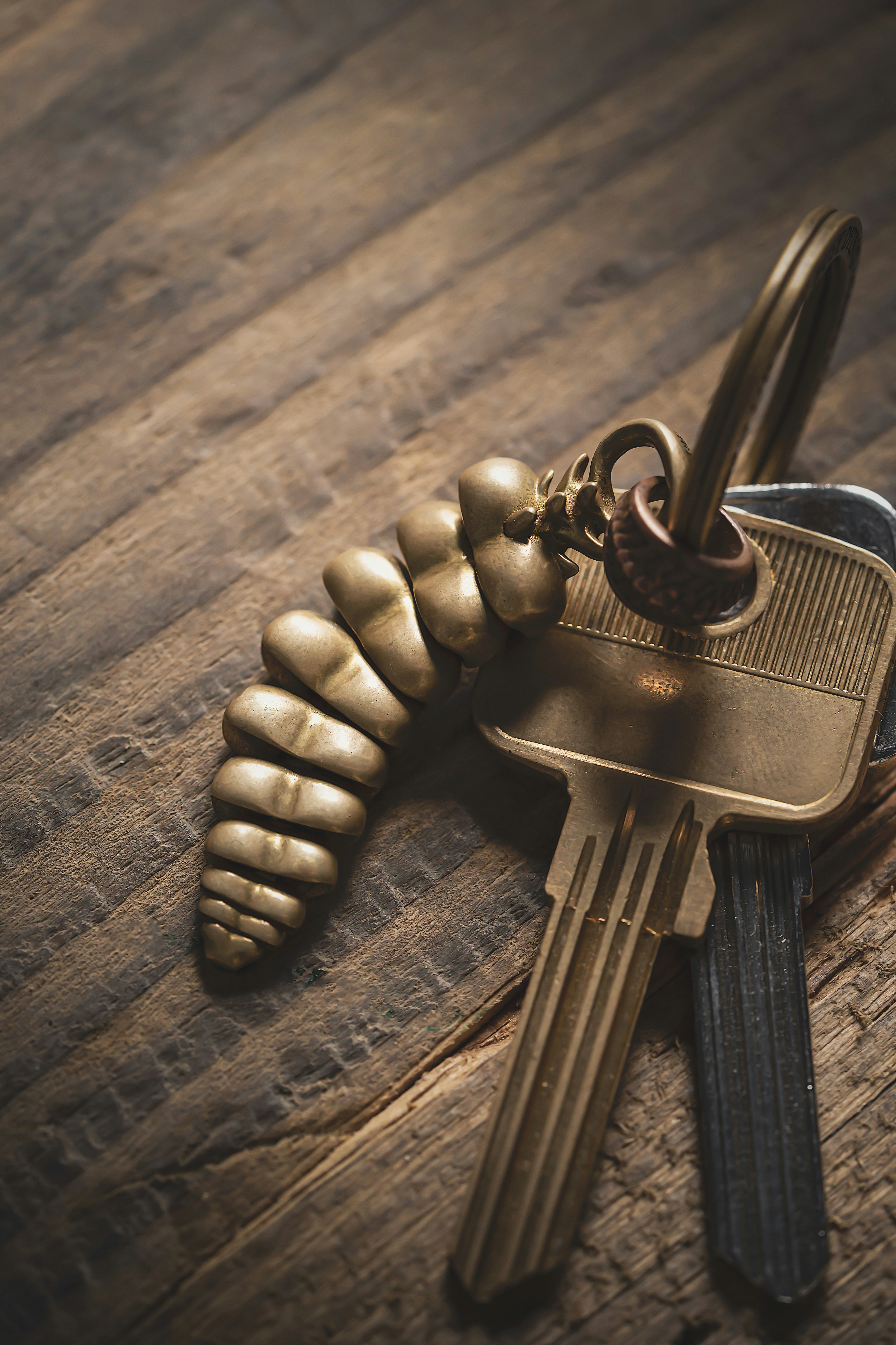 Photo by coppertistwu