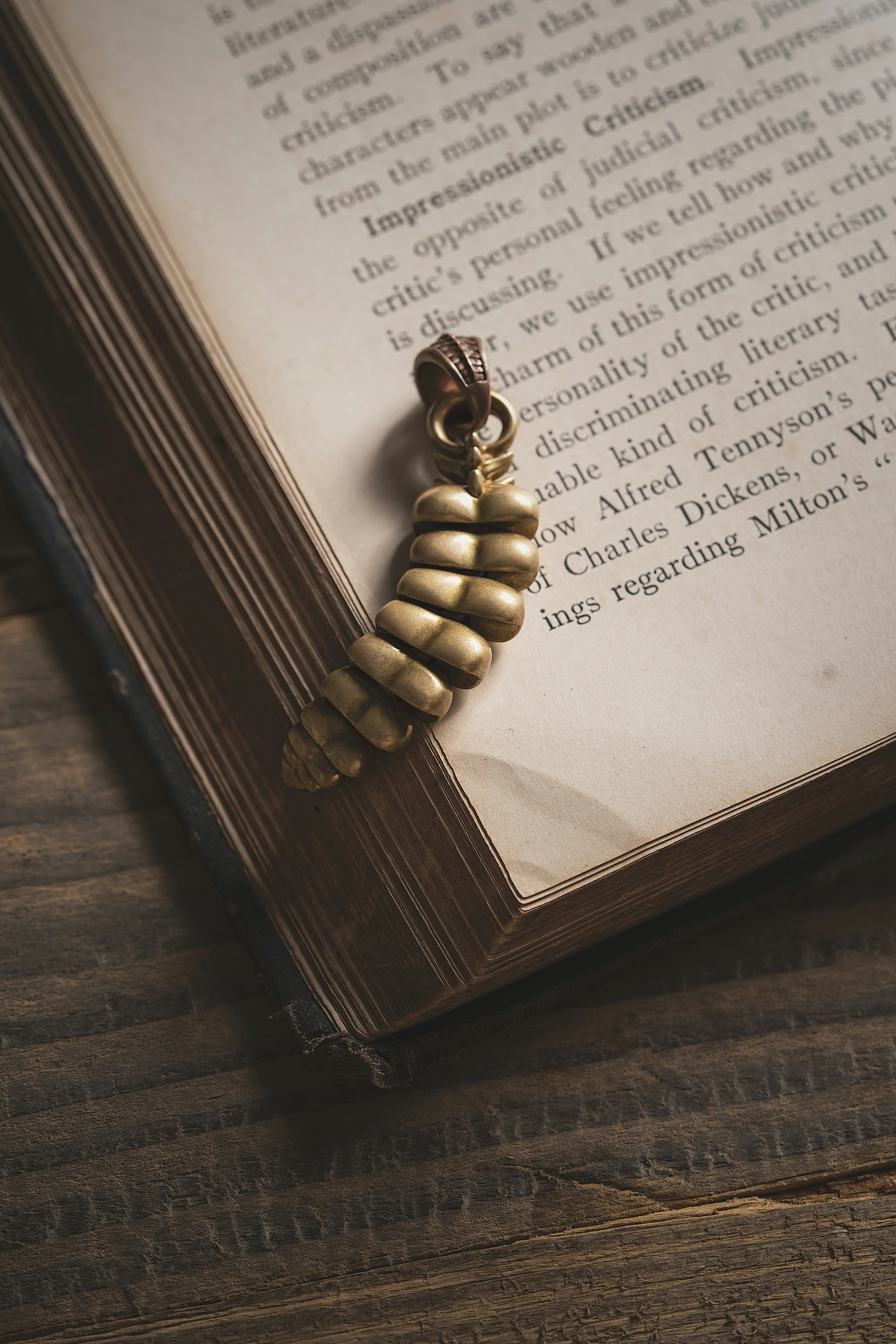 Photo by coppertistwu