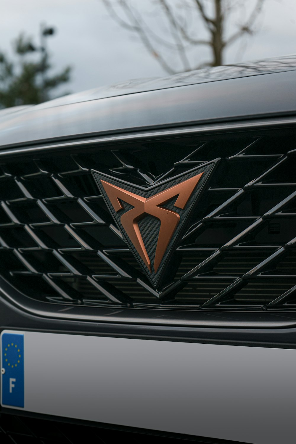 a close up of the grille of a car