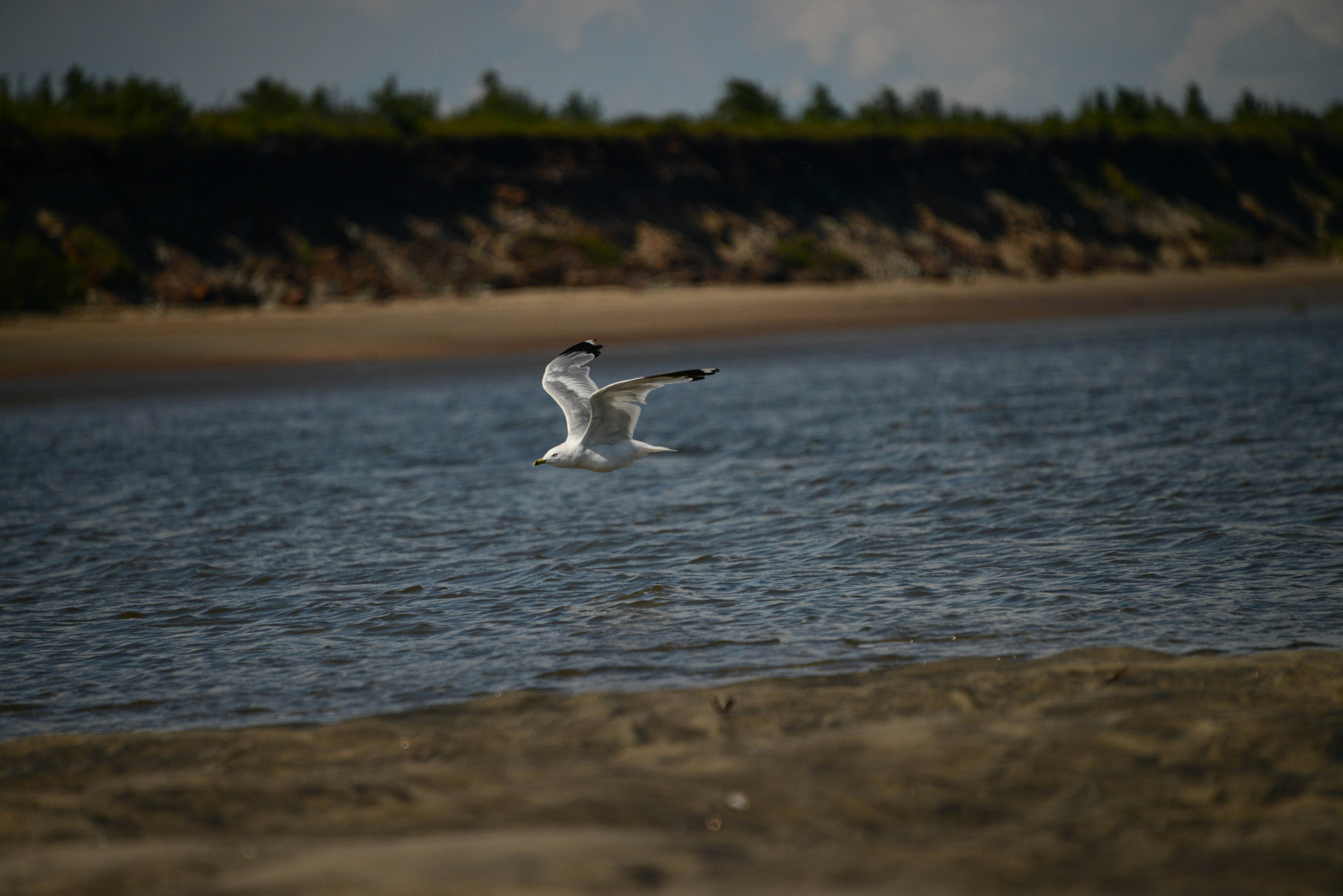 Photo by colfra