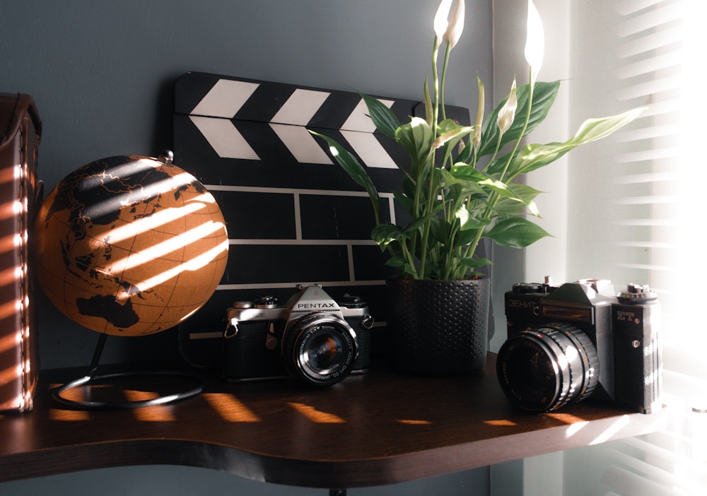 a camera and a plant on a shelf