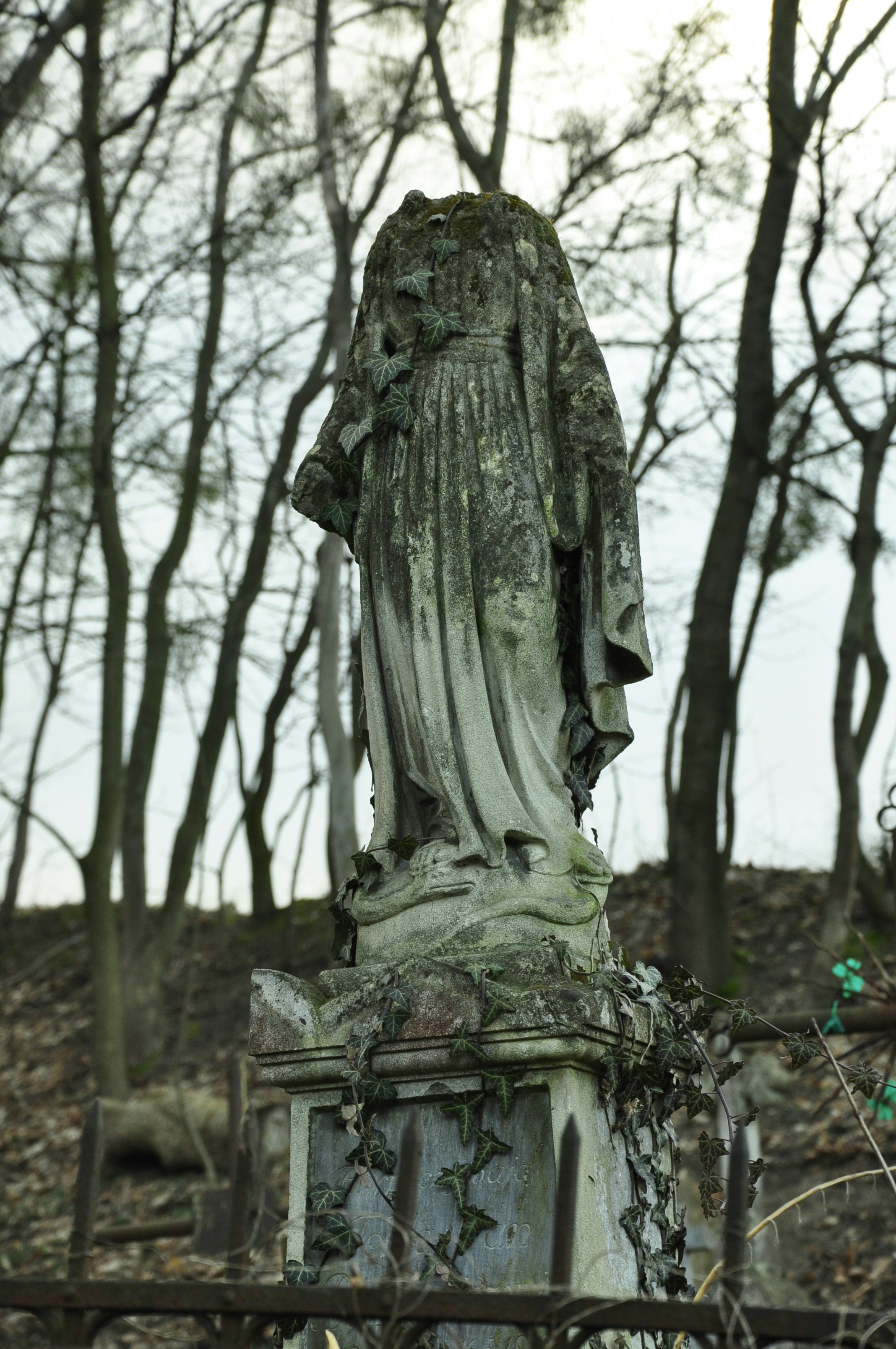 Photo by blackpumpkin