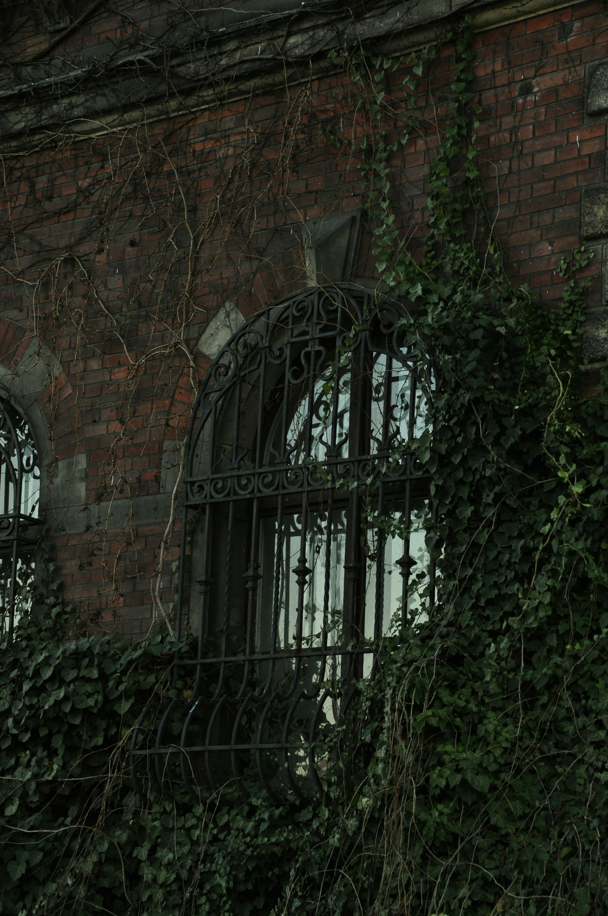 Photo by blackpumpkin