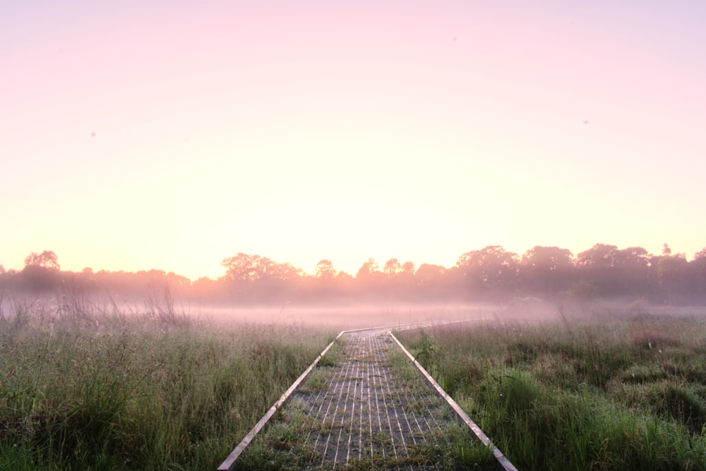 eine Bahnstrecke mitten auf einem Feld