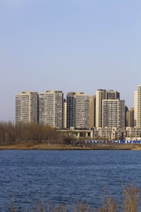 A series of tall, modern apartment buildings stand prominently against a clear blue sky. In the foreground, a body of water with gentle waves reflects the sky above. Bare trees on a small strip of land separate the water from the buildings, suggesting a mix of urban and natural elements.
