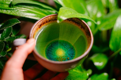 extracto de té verde para mejorar la apariencia de la piel