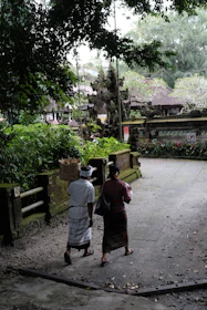 Tourists enjoying a cultural walk through Viseisei village with lush greenery around.