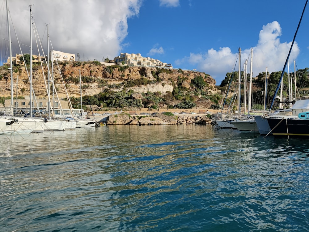 a group of sailboats docked in a harbor