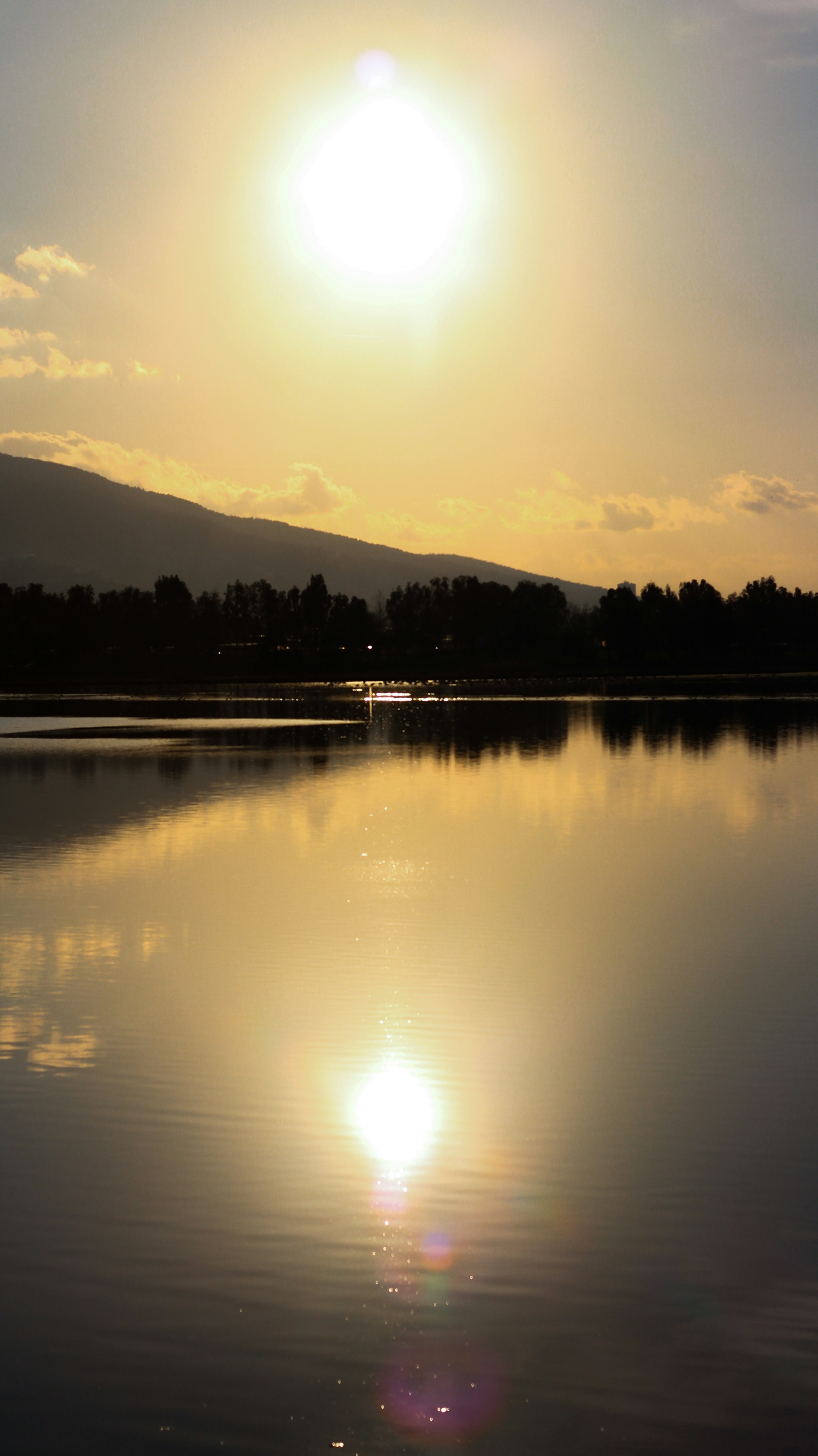 Photo by shizoberg