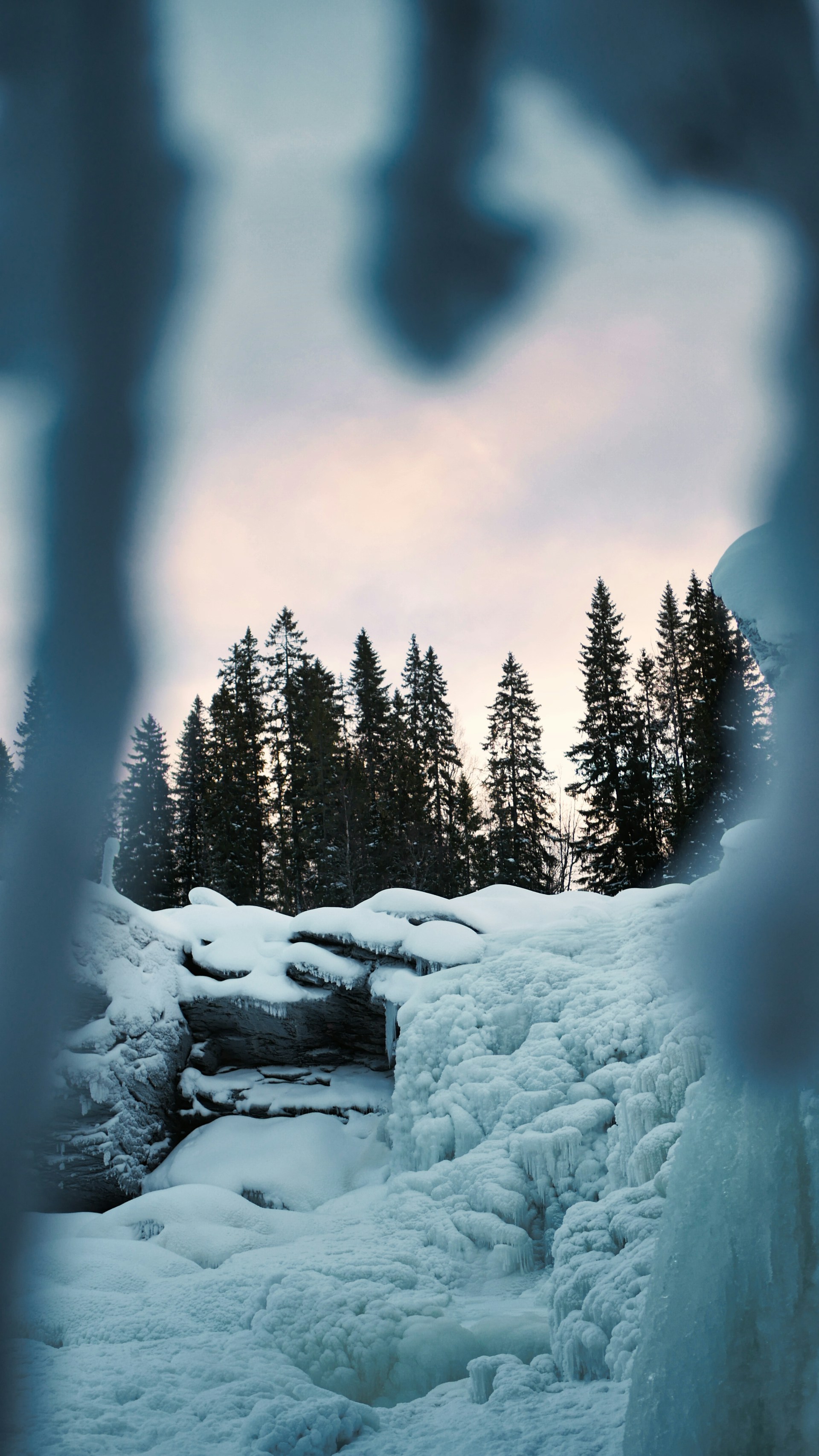 a snow covered mountain with trees in the background