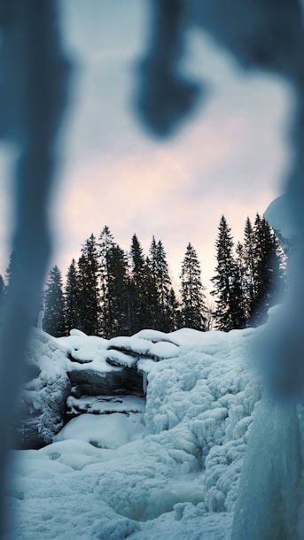a snow covered mountain with trees in the background