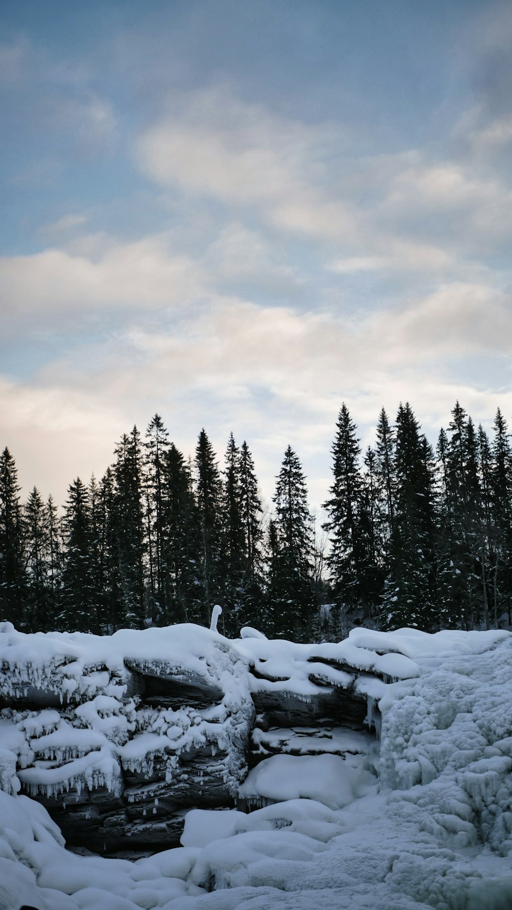 snow covered rocks and trees under a cloudy sky