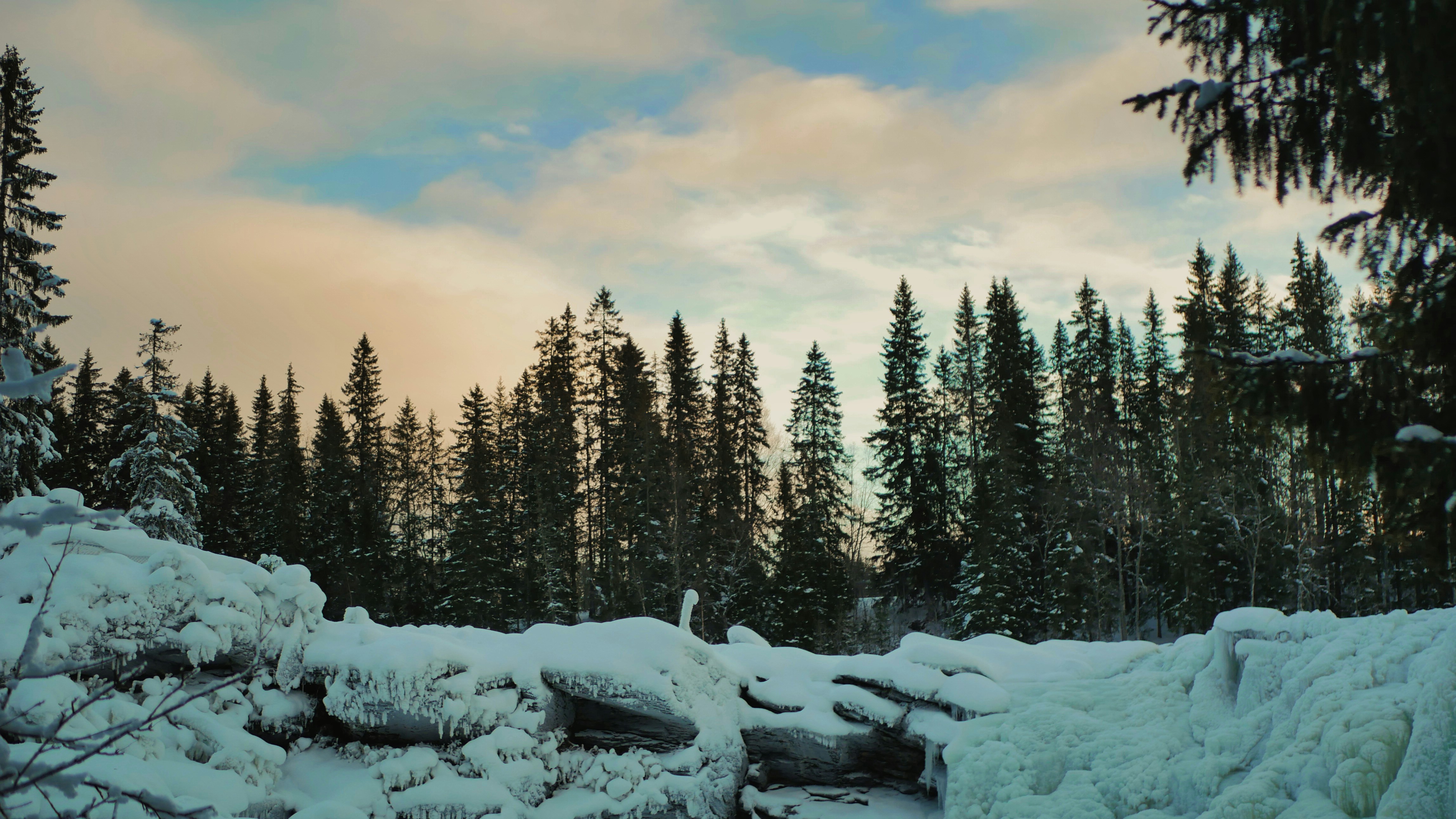 Photo by route2tushar