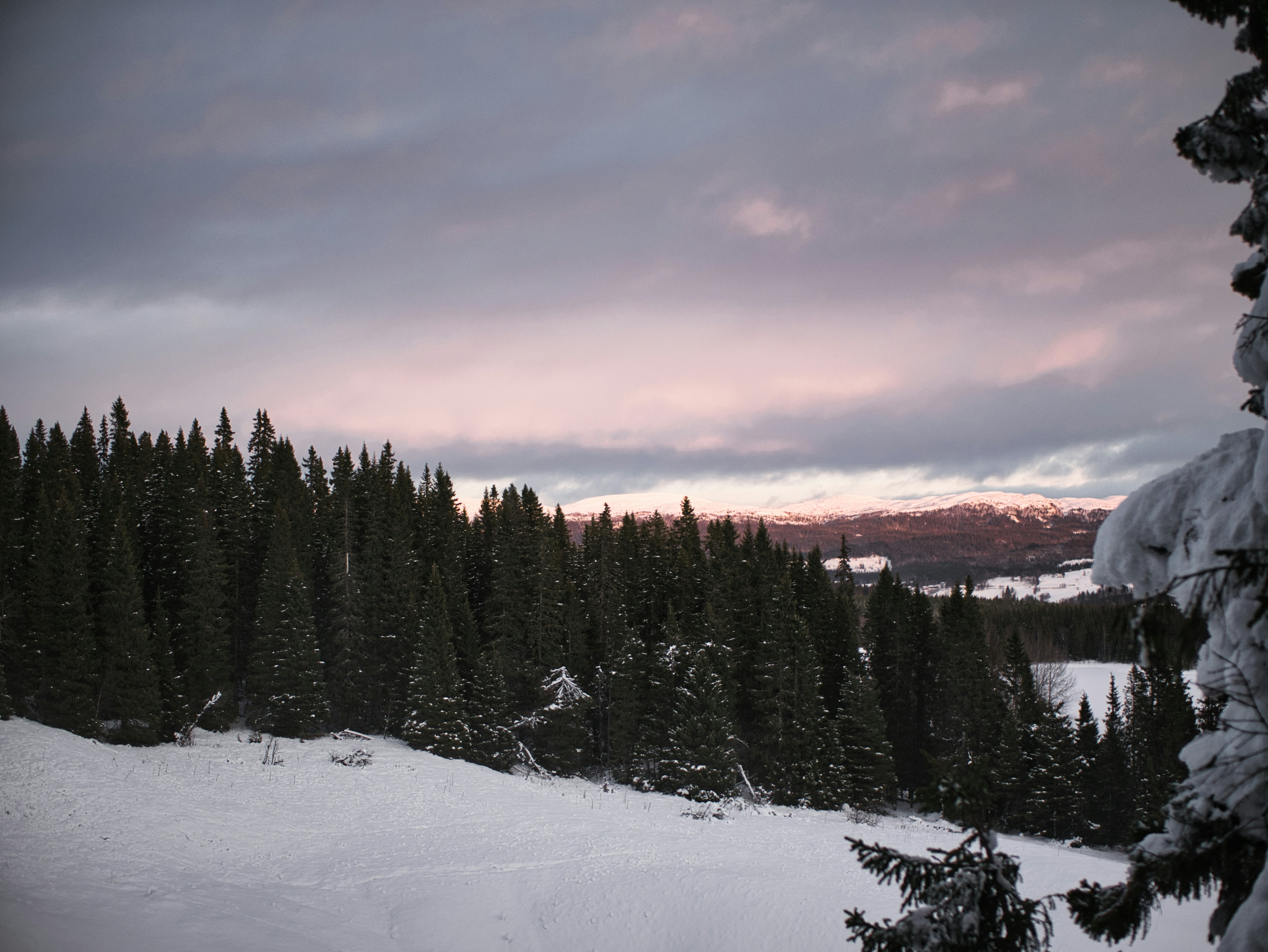 Photo by route2tushar