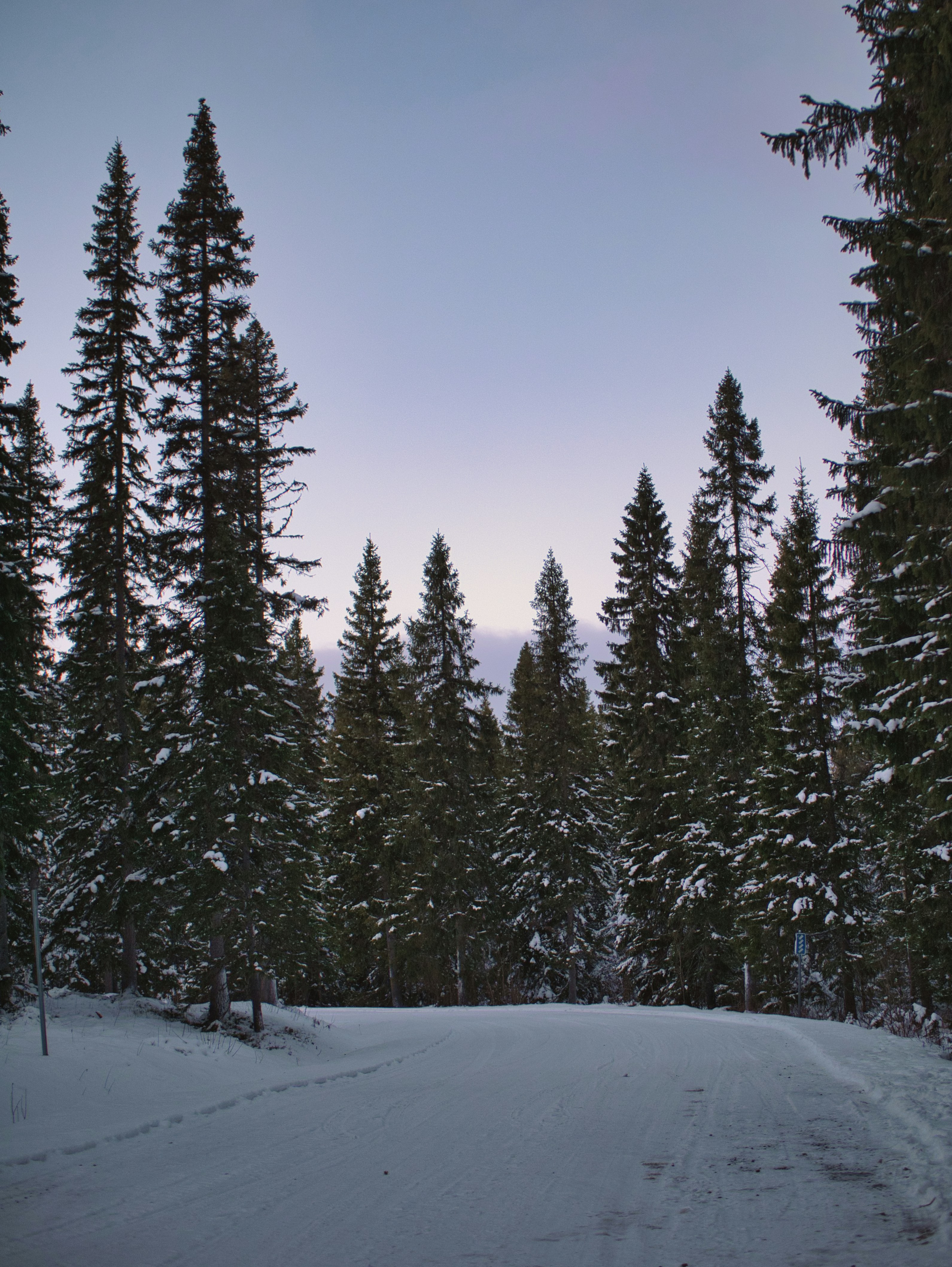 Photo by route2tushar