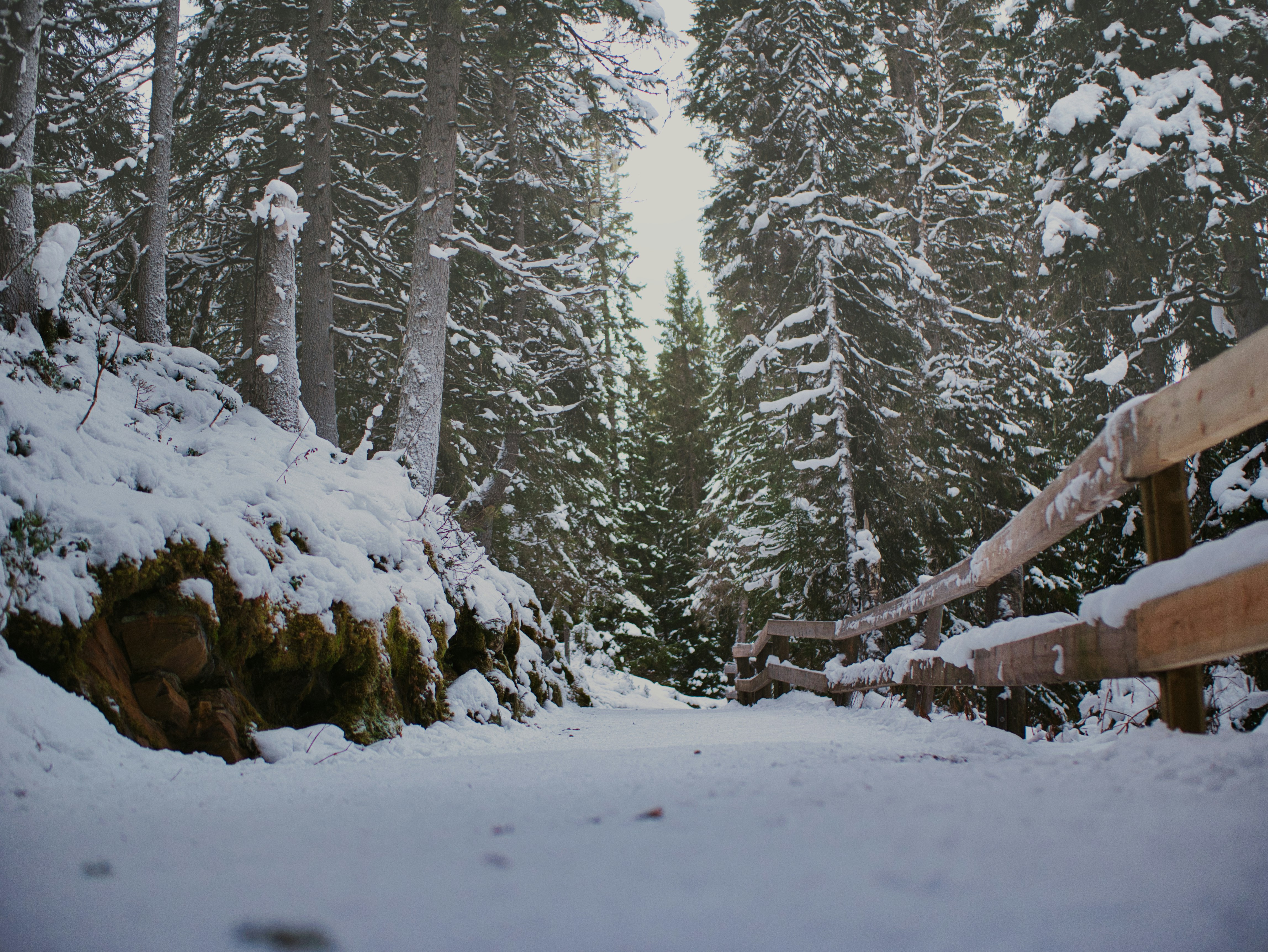 Photo by route2tushar