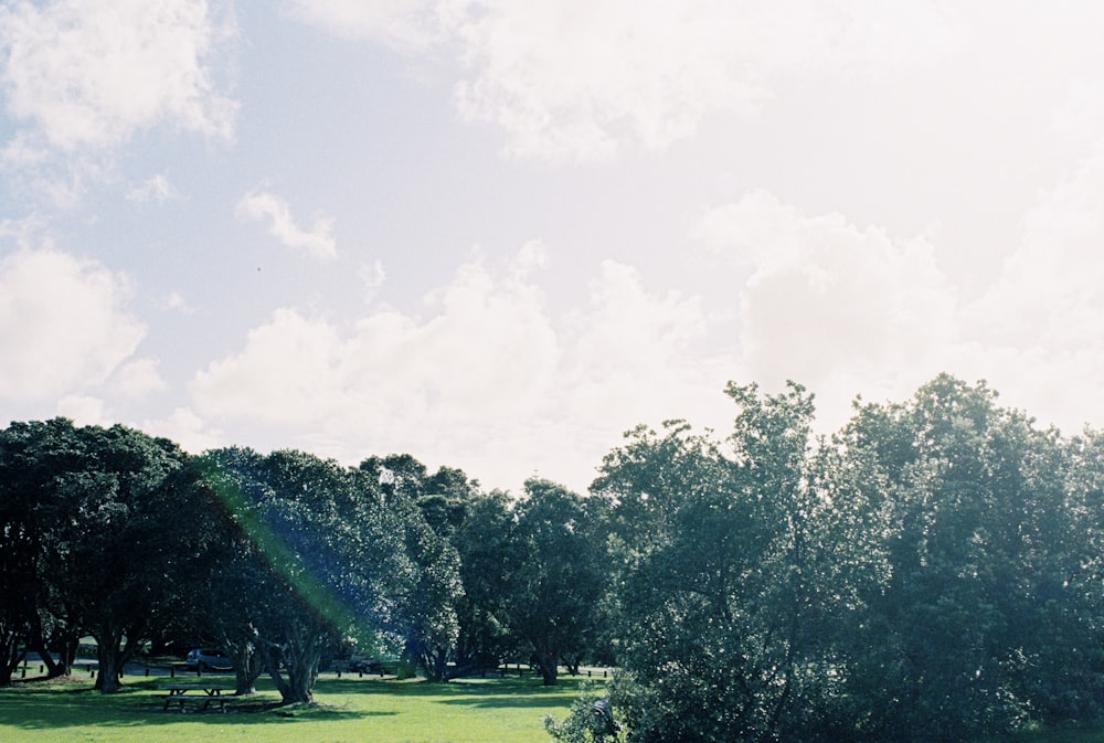 a grassy field with trees and a rainbow in the sky